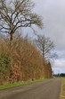 route rurale