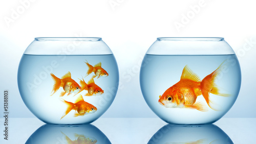 Photo: Two fishbowls Two fishbowls