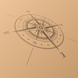 Vector: Windrose brown Windrose brown