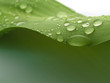 Waterdrops