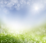 spring background