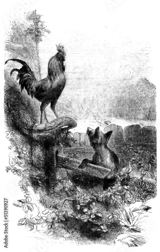 Illustration: Rooster & Fox - Coq & Renard Rooster & Fox - Coq & Renard