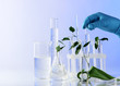 Test tubes with plant on light background