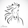 Vector image of an horse on white background