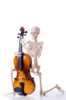 Skeleton playing violin isolated on the white