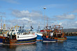 Fishing boats at Mallaig harbour