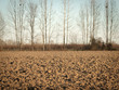Foto: Winter field Winter field