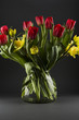 Foto: Frühling Frühling