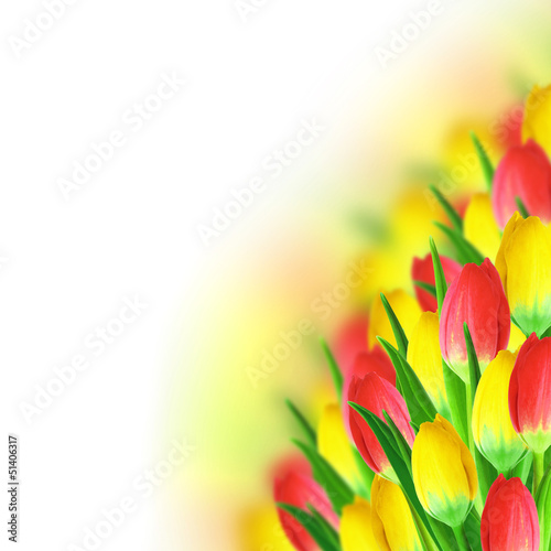 Photo: Bouquet of tulips Bouquet of tulips