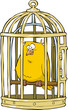 Canary