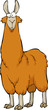 Cartoon lama