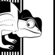 Vector: Chameleon on black and white background Chameleon on black and white background