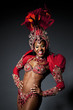 Brazilian Samba Dancer