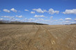empty springtime field