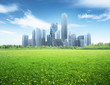field of spring flowers and modern city