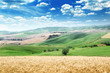 summer landscape of Tuscany, Italy