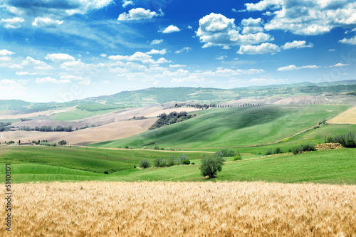 Photo: summer landscape of Tuscany, Italy summer landscape of Tuscany, Italy