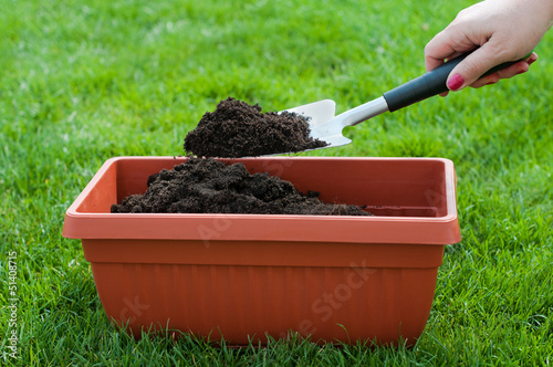 Photo: Gardening Gardening