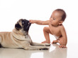 baby put hand in doggy mouth