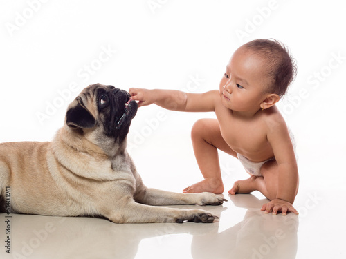 Photo: baby put hand in doggy mouth baby put hand in doggy mouth