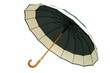 Foto: Green Umbrella on White Background Green Umbrella on White Background