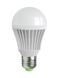 A60, E27 type light bulb, vector