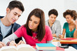 Young Students Doing Homework