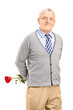 A mature smiling gentleman holding a red rose