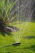 Mediterranean garden and sprinkler © Arena Photo UK