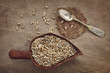 Still life sunflower seeds