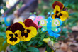 canvas print picture Wooden garden butterflies