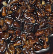 Photo: Close view pecans in chocolate Close view pecans in chocolate