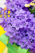 Photo: campanula blue a close up campanula blue a close up