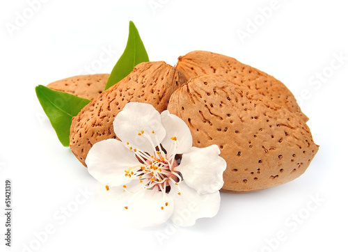 Photo: blossoming almonds blossoming almonds