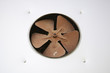 Fan oxidized