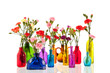 Colorful Dianthus In Little Gl...