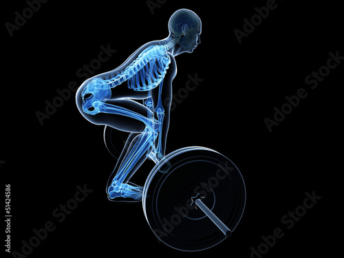 Illustration: 3d rendered medical illustration - correct lifting posture 3d rendered medical illustration - correct lifting posture