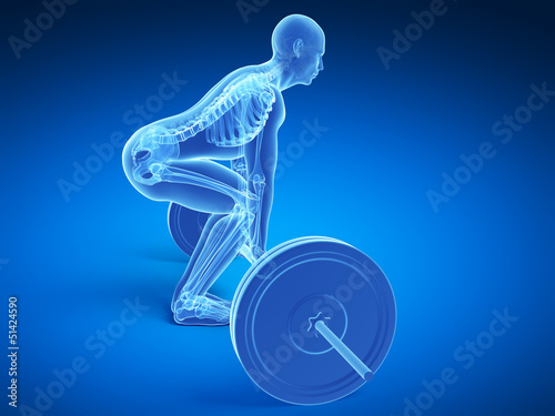 Illustration: 3d rendered medical illustration - correct lifting posture 3d rendered medical illustration - correct lifting posture