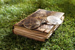 Vintage leather book and spectacles