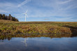 wind power mills with reflection in water
