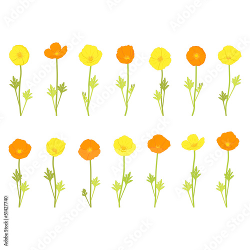 Vector: flowers flowers