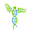 DNA Plant