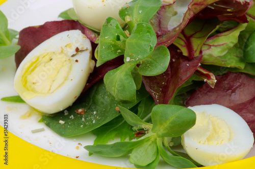 Photo: Greens Salad Greens Salad