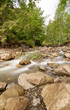 Mountain River in the Carpathians, Ukraine