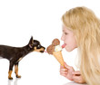 puppy and the girl eat ice-cream. isolated on white