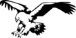 flying eagle