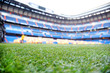 Close up of green lawn with marking at outdoor football stadium