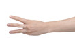 Foto: Male hand Male hand
