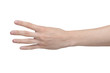 Foto: Male hand Male hand