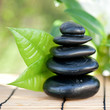 Photo: Wellness Wellness